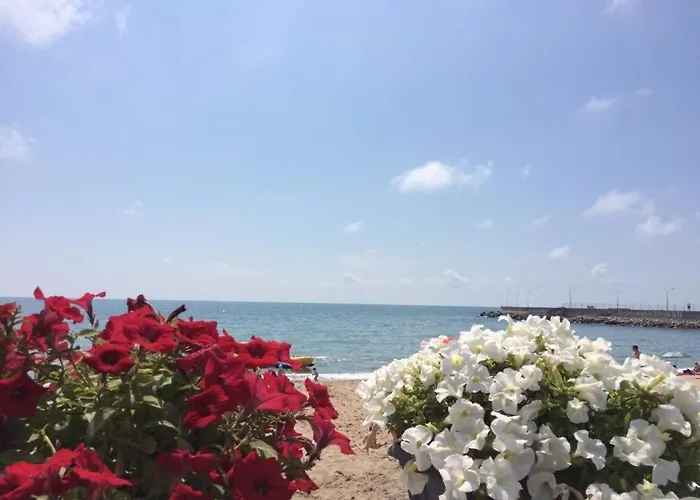 Lustforlive Guest house