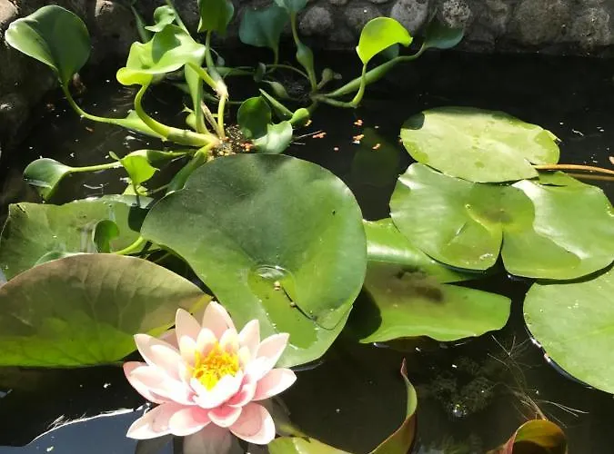 Casa de hóspedes Lustforlive Odessa