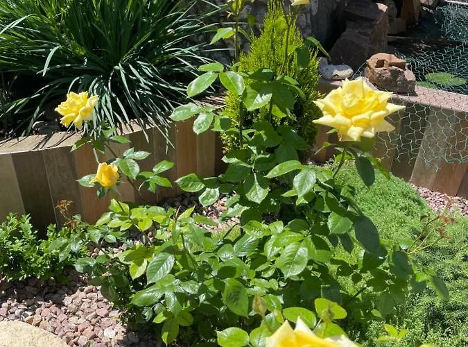 Casa de hóspedes Lustforlive 4*